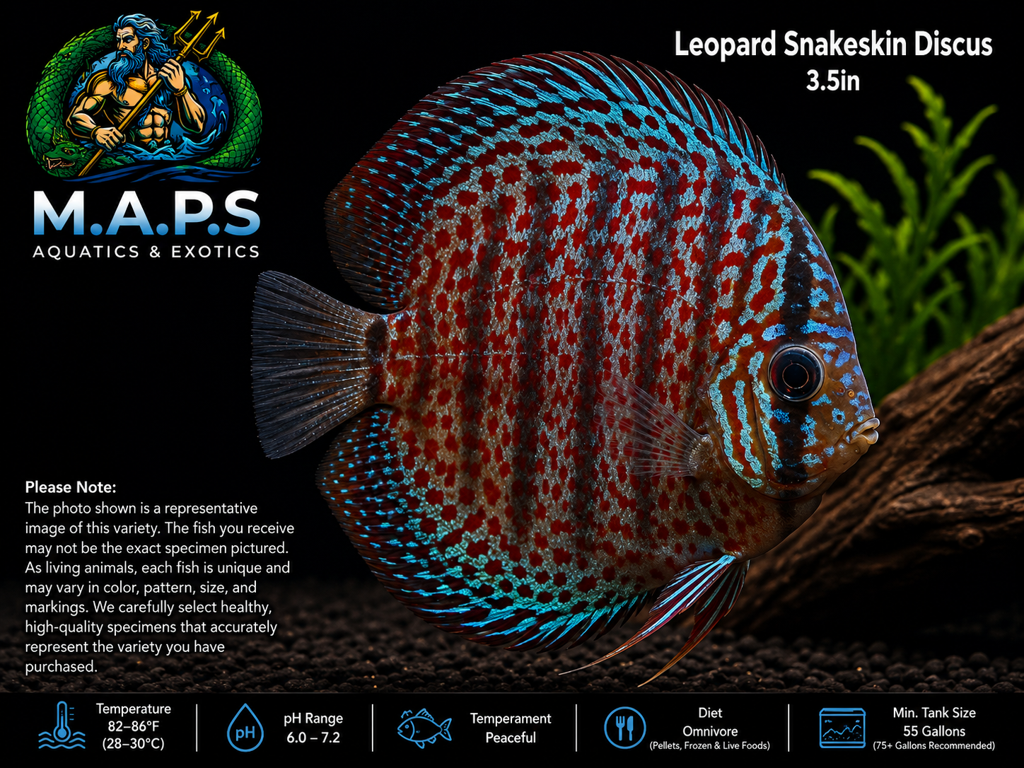 Leopard Snakeskin Discus